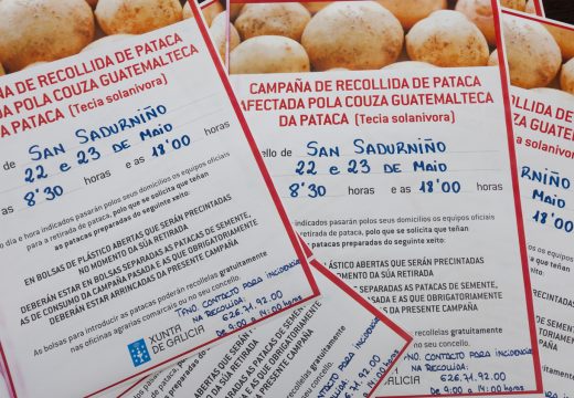 A Xunta retirará as patacas de San Sadurniño o 22 e o 23 de maio